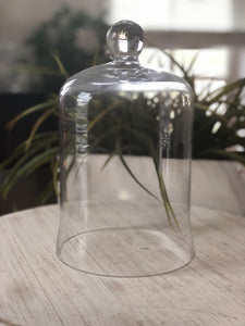 Glass Dome Bell Jar - Medium