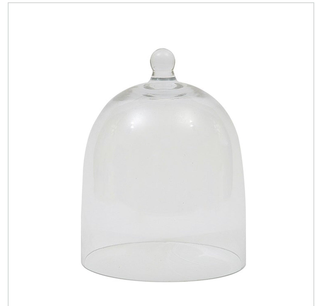 Glass Dome Bell Jar - Small